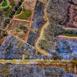 March 2020 (Shaker Village of Plesant Hill)